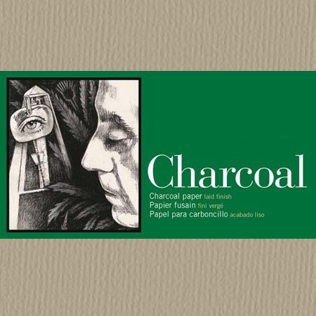 Charcoal Paper 19X25 Velvet Gray